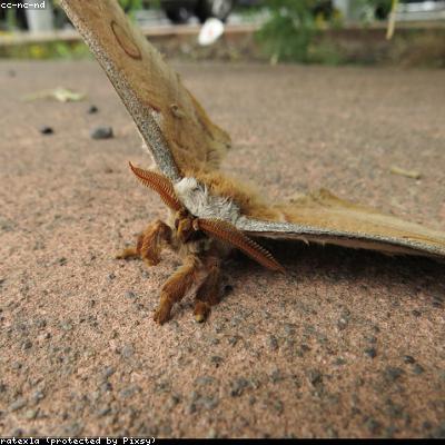 悠亚暴雨教师失格802